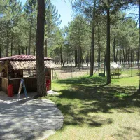 El Calonge