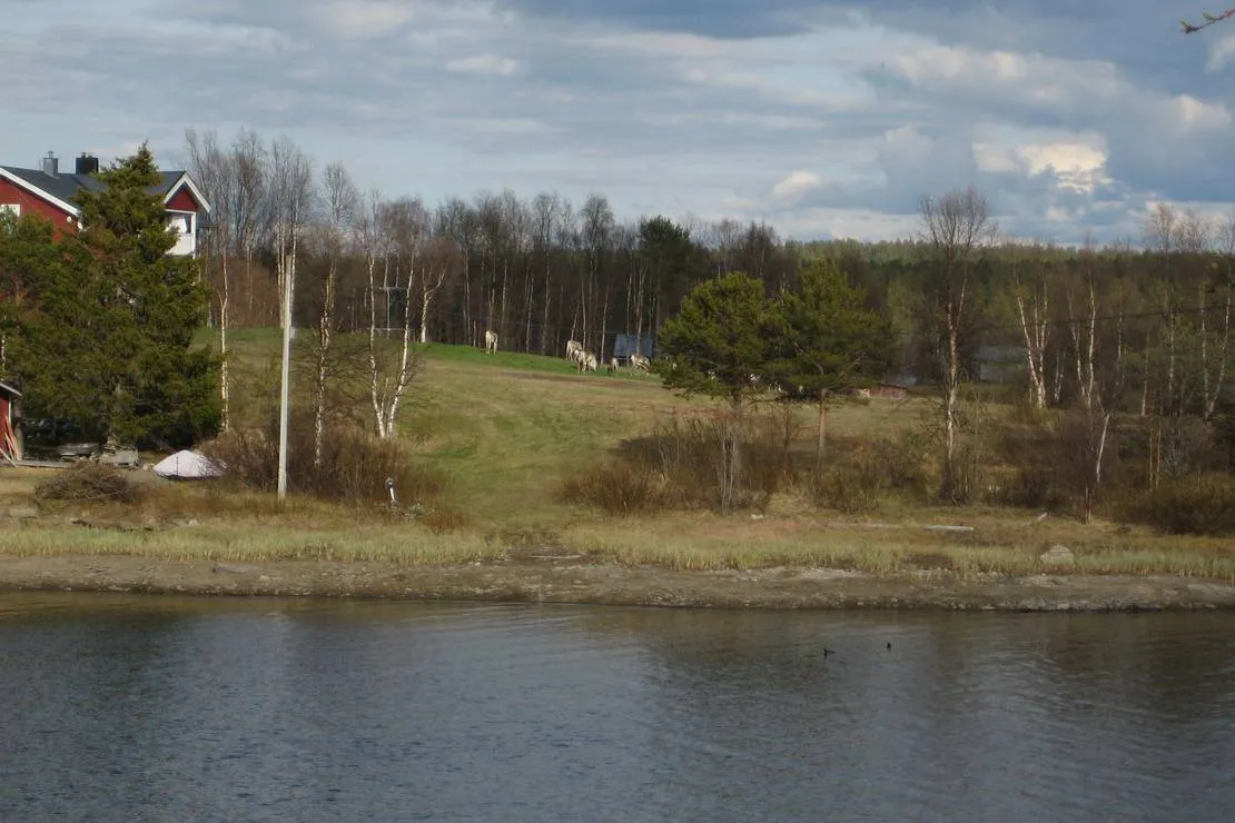 kyrkans-fjallgard-jakkvik-jackvik-cnrd1