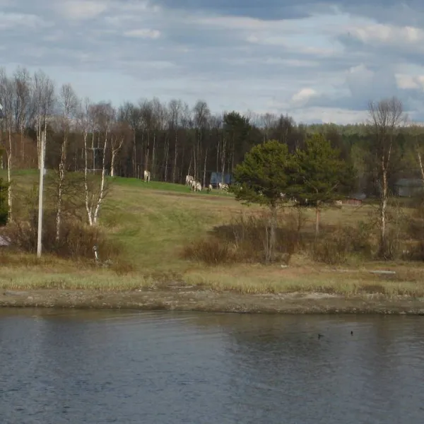 kyrkans-fjallgard-jakkvik-jackvik-cnrd1