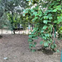 1000073622