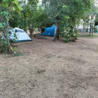 1000073624