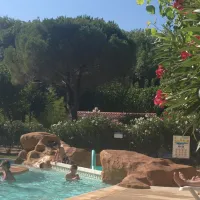 Le Sequoia