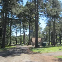 olema-campground-olema-viege