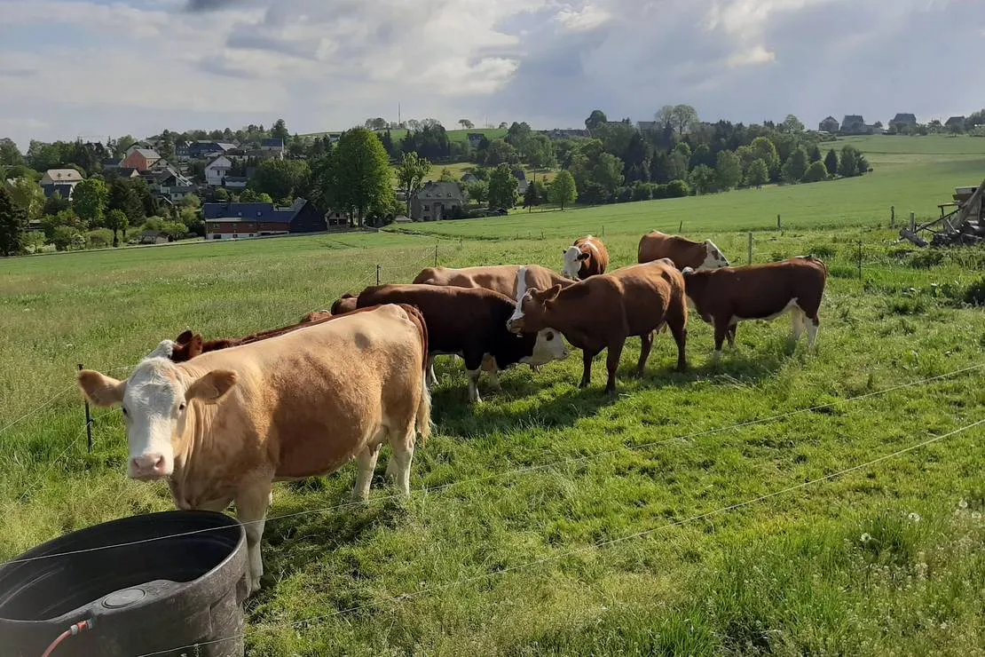 minicamping-hoheneck-am-bauernhof-stollbergerzgebirge-tbpih