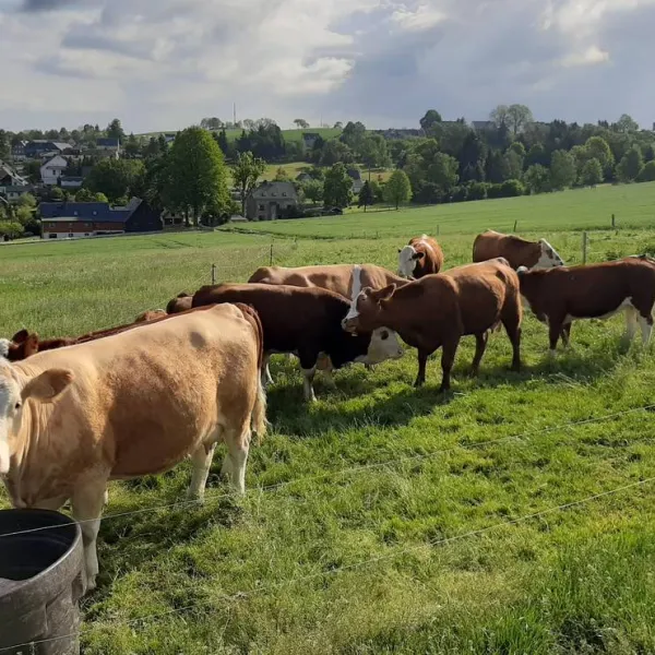 minicamping-hoheneck-am-bauernhof-stollbergerzgebirge-tbpih