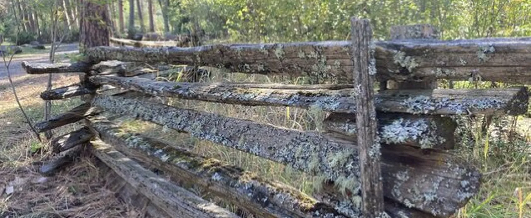 Catherine Creek State Park