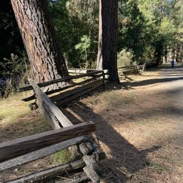 catherine-creek-state-park-union-jj7ay
