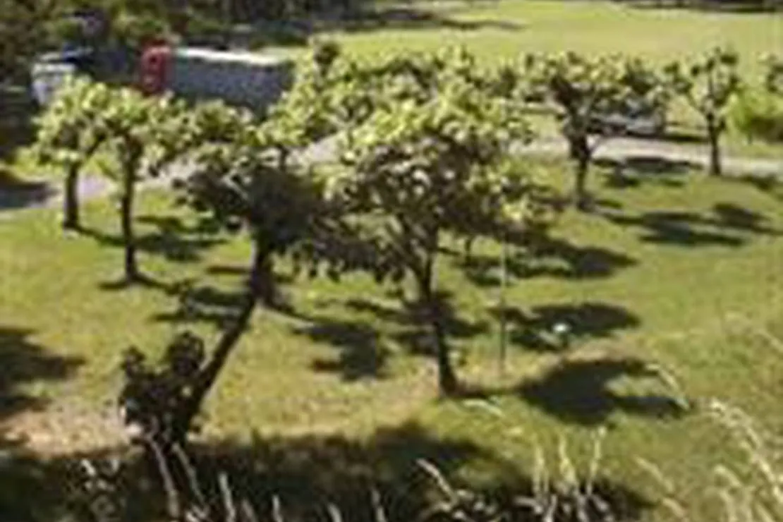 camping-municipal-du-collet-de-deze-le-collet-de-deze-avuxg