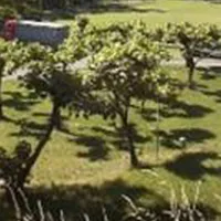 camping-municipal-du-collet-de-deze-le-collet-de-deze-avuxg