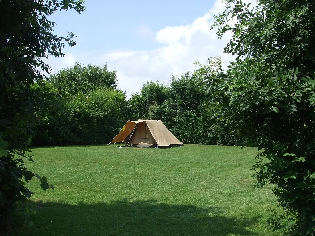 de-blikken-groede-ekzku