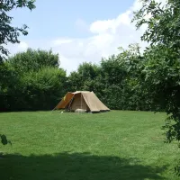 de-blikken-groede-ekzku