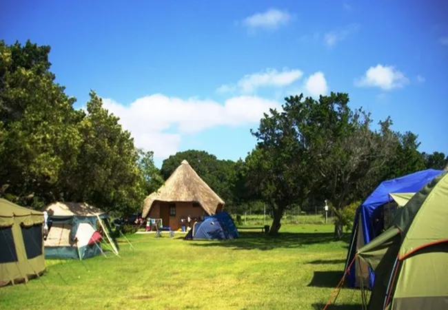 green-fountain-caravan-park-7km-east-or-port-alfred-nlegi