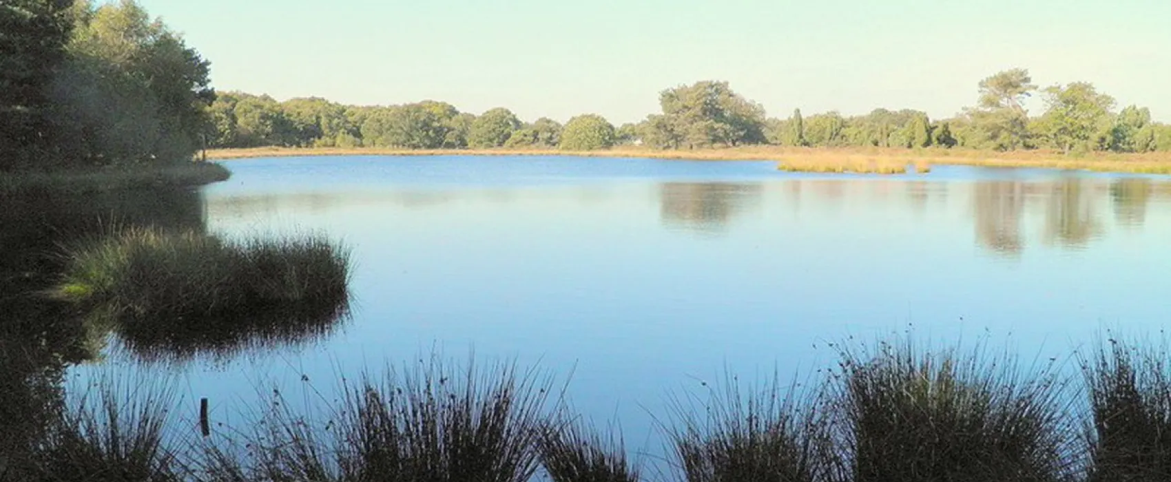De Moraine
