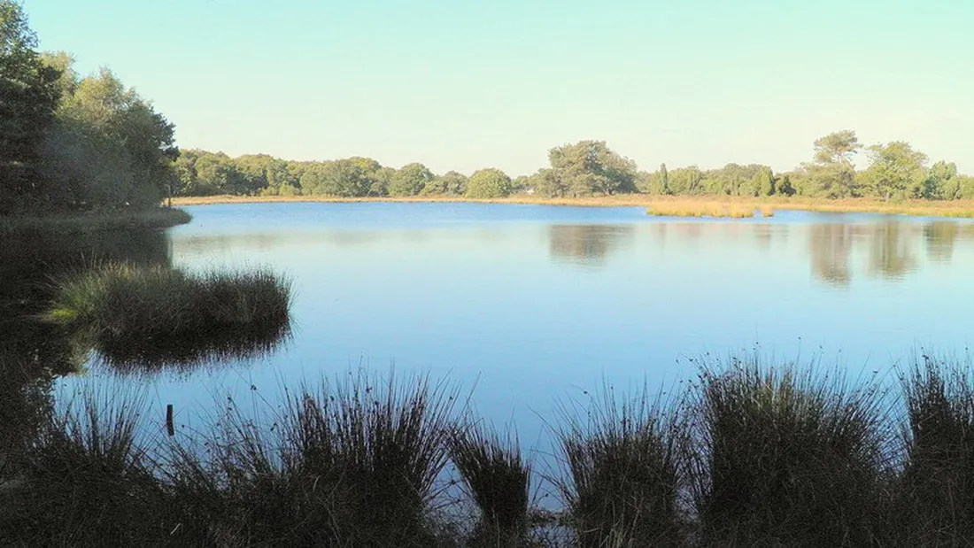 de-moraine-spier-jx6df