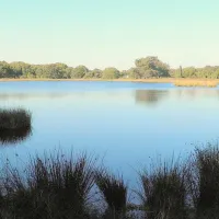 de-moraine-spier-jx6df