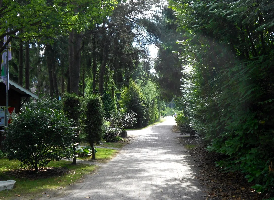 de-moraine-spier-vjvkz