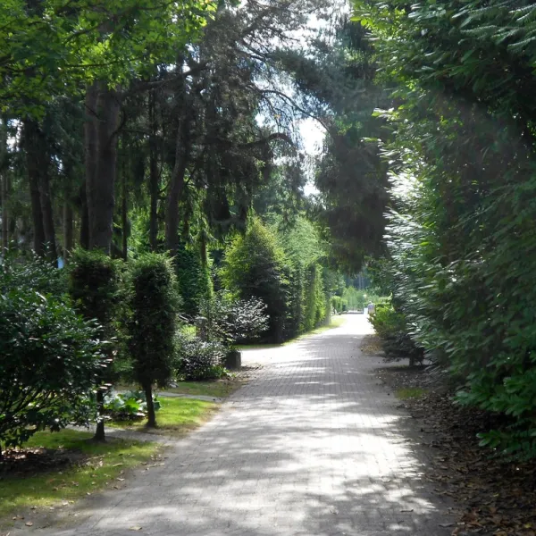 de-moraine-spier-vjvkz