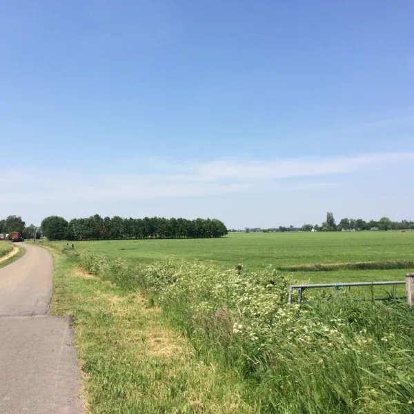 minicamping-het-zwerversnest-bantega-nnqiw