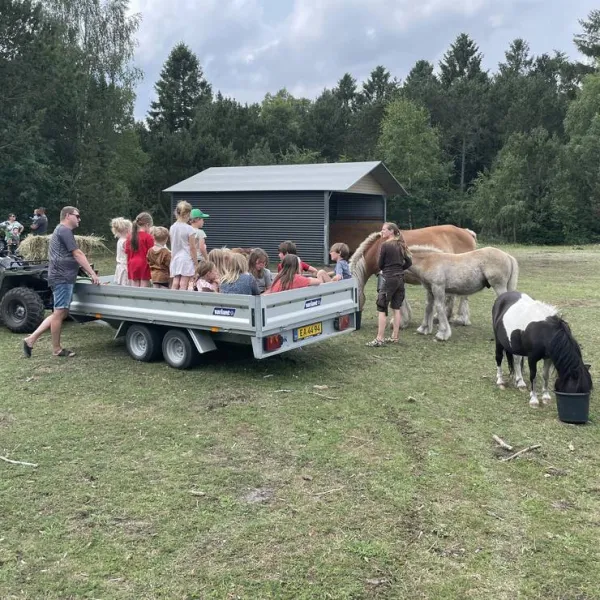 sohojlandets-camping-farvang-kv76q