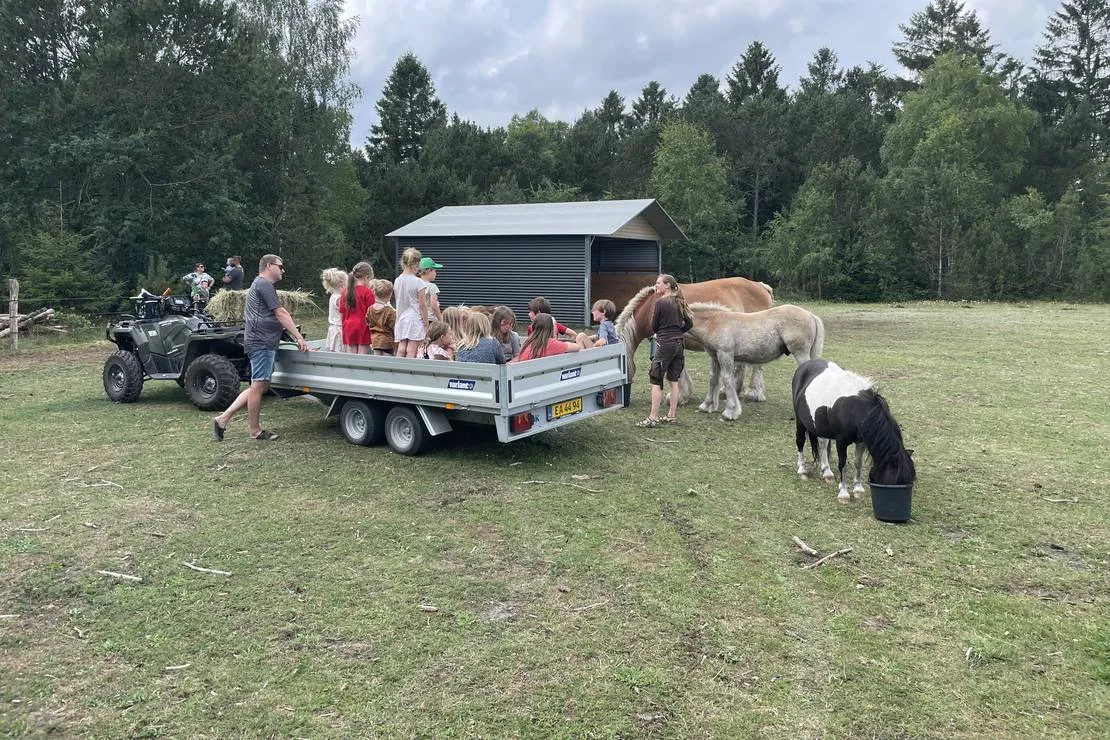 sohojlandets-camping-farvang-n1ccz