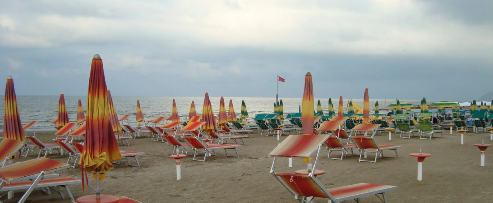 Alberello