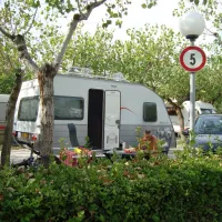 alberello-riccione-adriatische-riviera-tywl4