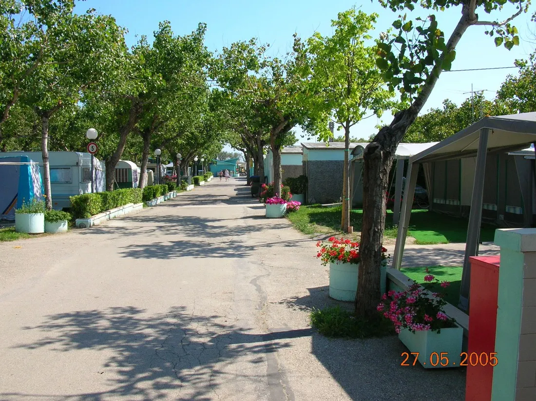 alberello-riccione-adriatische-riviera-zwq3y