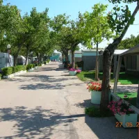 alberello-riccione-adriatische-riviera-zwq3y