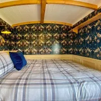 bramble-hill-glamping-filey-gb8sl