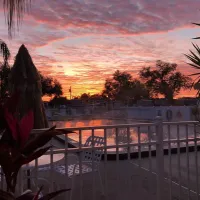 orlando-nw-orange-blossom-koa-apopka-lj8qz