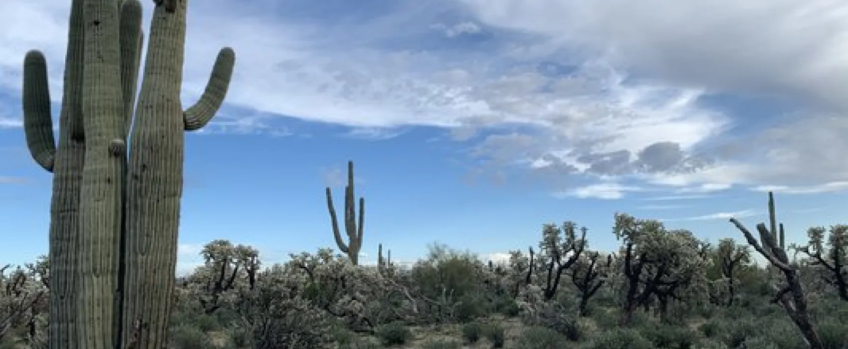 East 96 Ranch Road