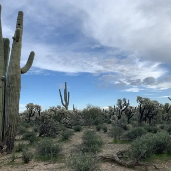East 96 Ranch Road