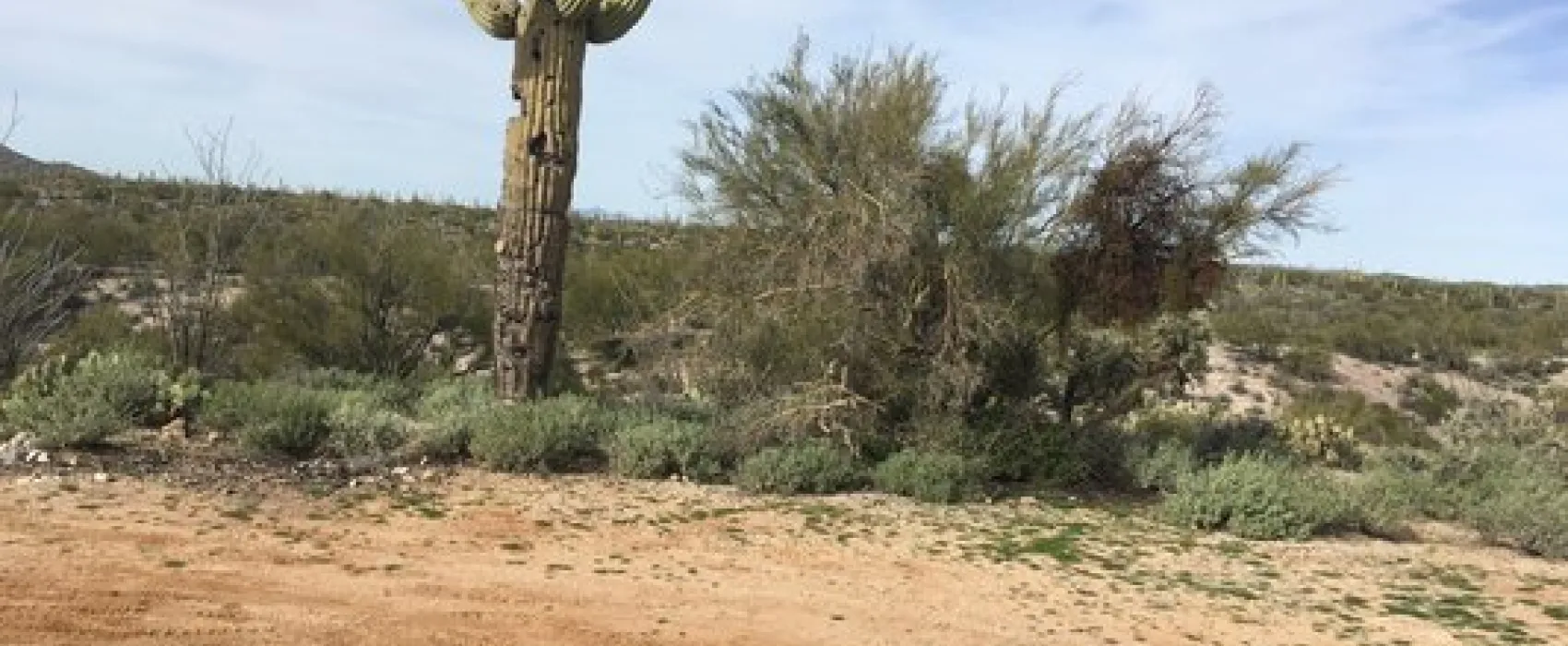 East 96 Ranch Road
