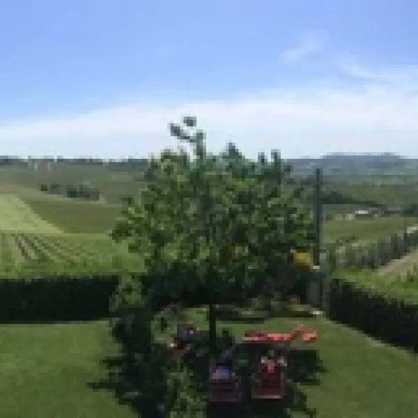 tenuta-santini-coriano-az11f