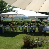 tenuta-santini-coriano-vr521