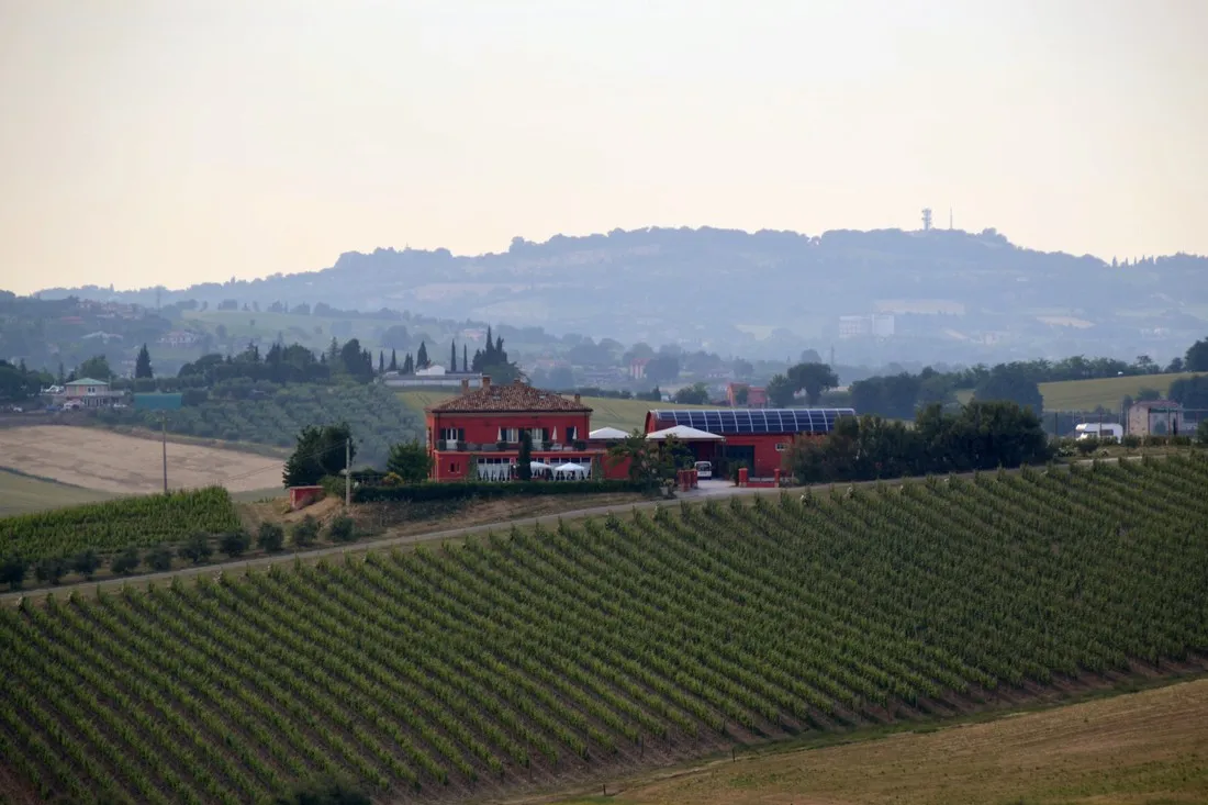 tenuta-santini-coriano-wop34