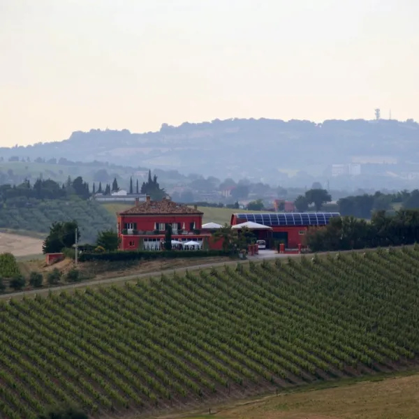 tenuta-santini-coriano-wop34