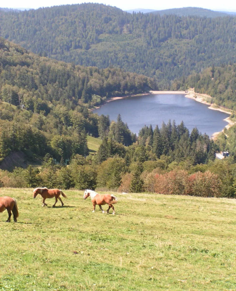 jp-vacances-le-tholy-vosges-fbma3