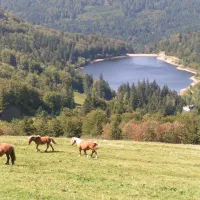 jp-vacances-le-tholy-vosges-fbma3
