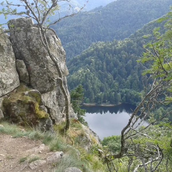 jp-vacances-le-tholy-vosges-lzllz