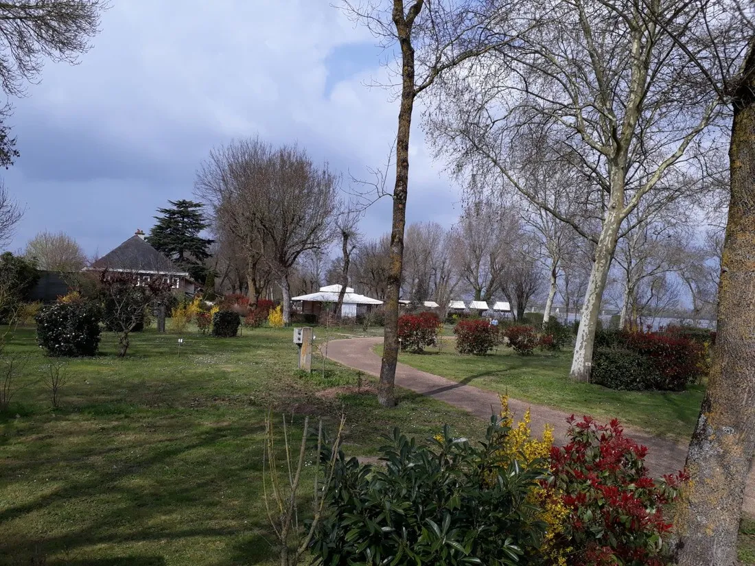 lisle-verte-montsoreau-maine-et-loire-kkmip