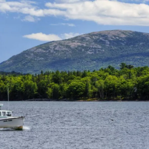 Lamoine State Park