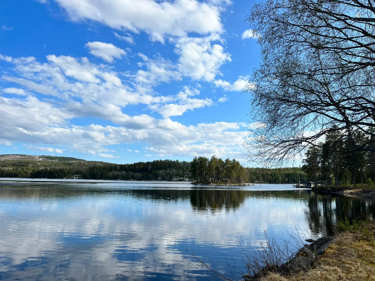 trehorningsjo-camping-och-stugby-trehorningsjo-ixmfb