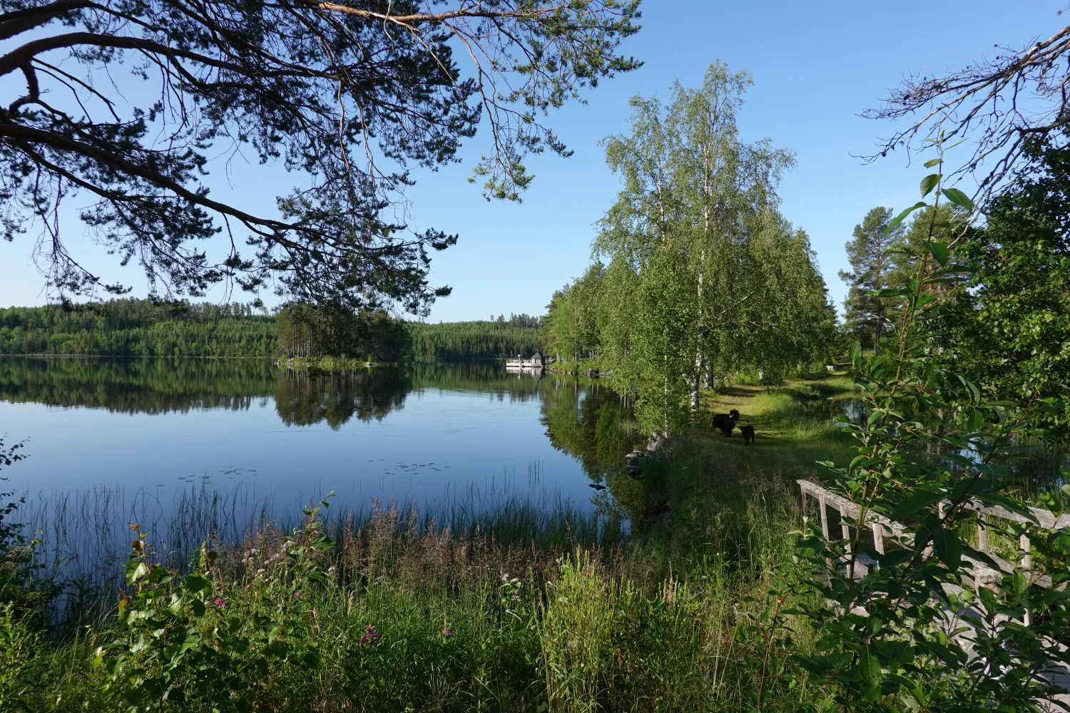 trehorningsjo-camping-och-stugby-trehorningsjo-tsype