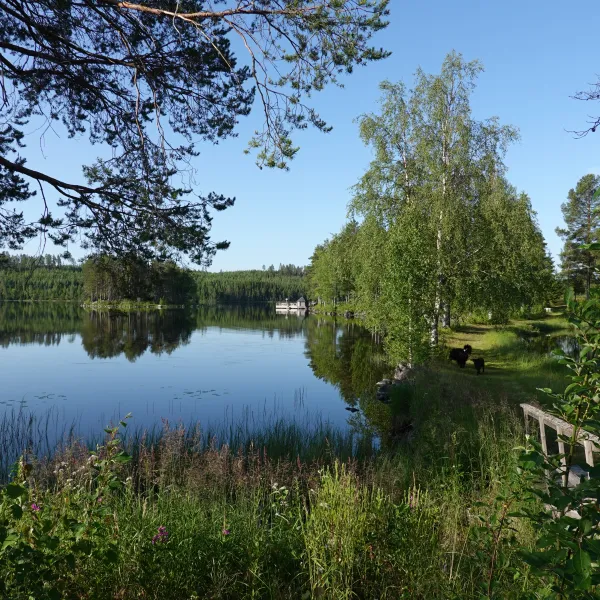 trehorningsjo-camping-och-stugby-trehorningsjo-tsype