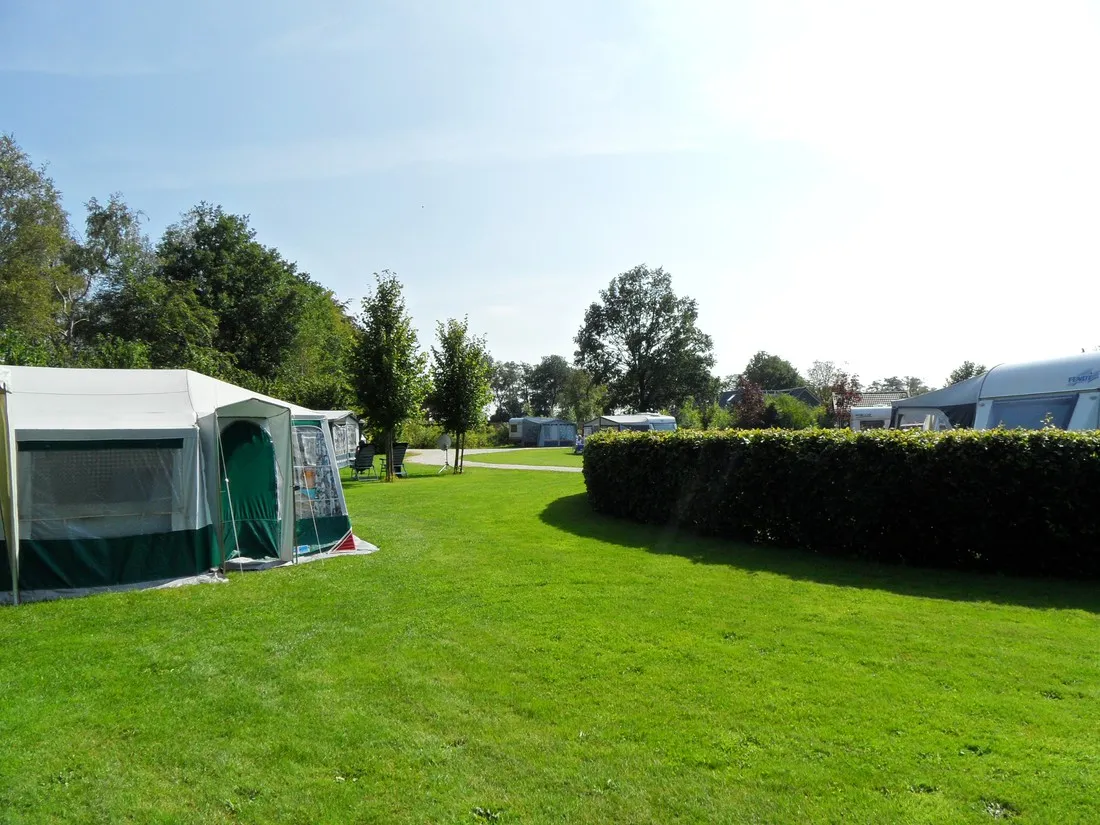 de-oosterweide-pesse-qe6xe