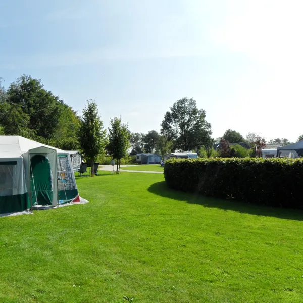 de-oosterweide-pesse-qe6xe
