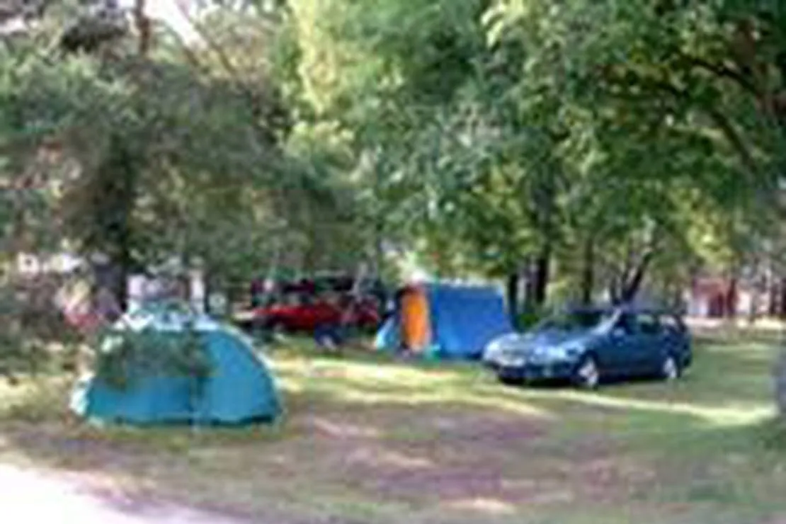 bagatell-camping-fevik-gtwos