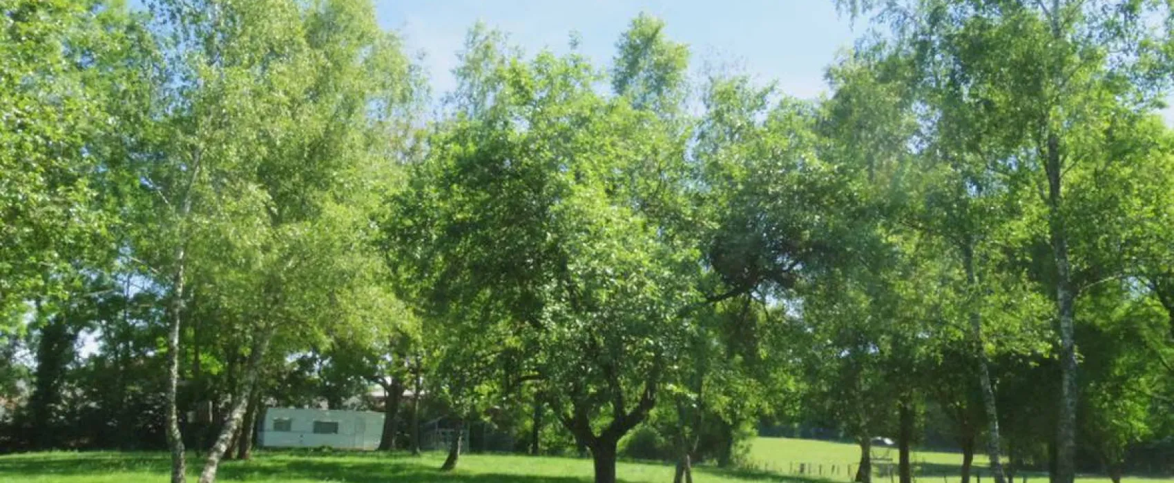 Camping aire naturelle de Chatard Louis