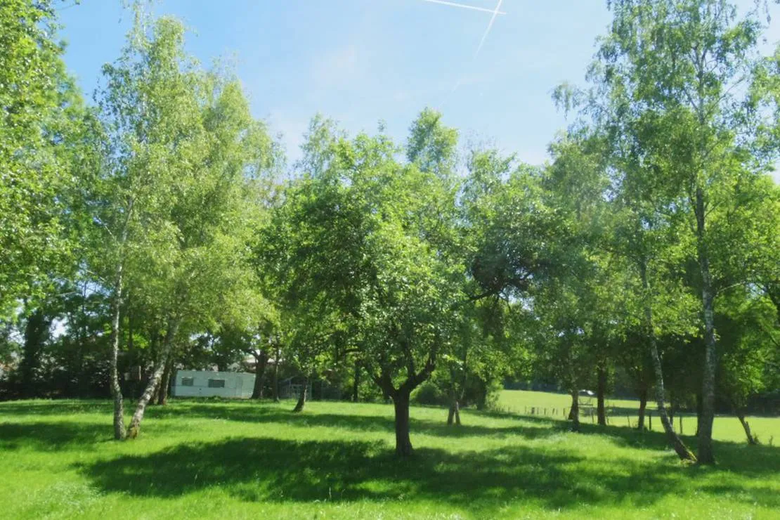camping-aire-naturelle-de-chatard-louis-viriat-ql43e